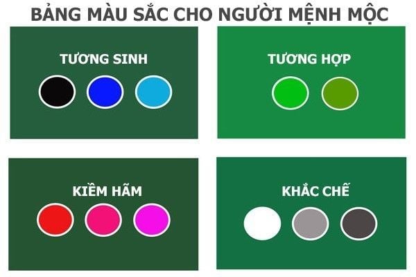 Lựa Chọn Giày Nam da bò màu xanh navy (hợp mệnh Mộc)
