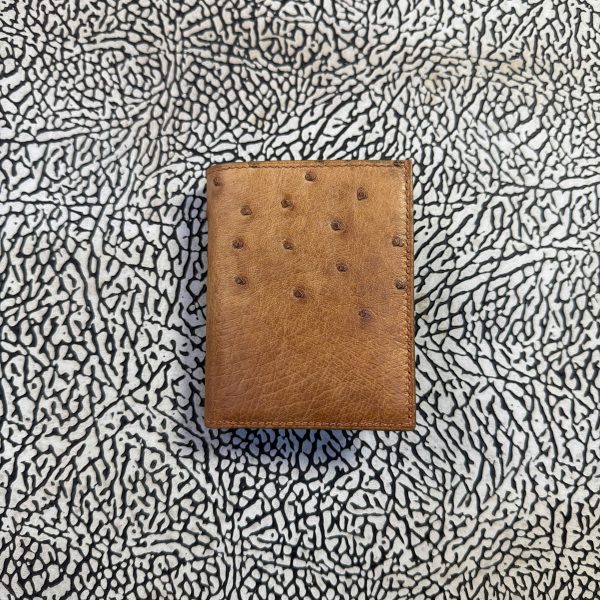 z7201149955064_b6626f2db71c68d497bc29e58466cb54